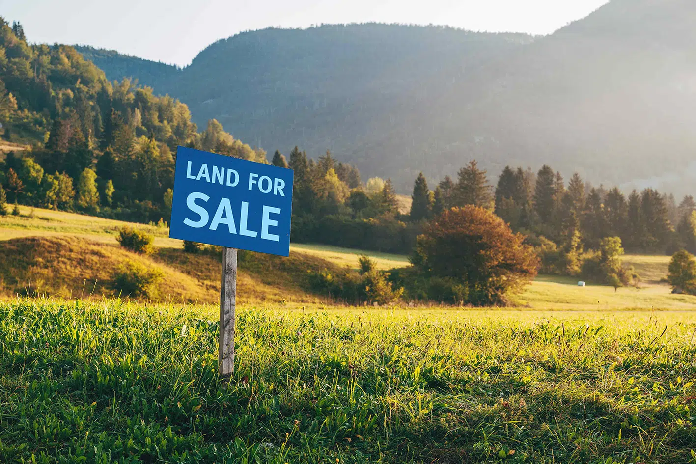 Colecar Strategic Land, What We Do page cover image, display open green land with a "land for sale" sign.